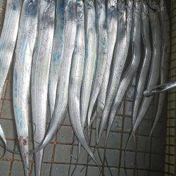 マリーナシティタチウオ