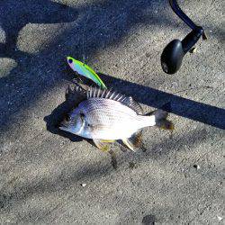 サバーパーティー