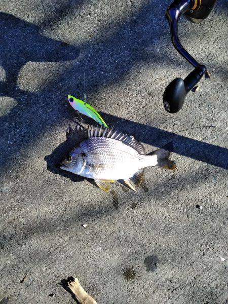 サバーパーティー