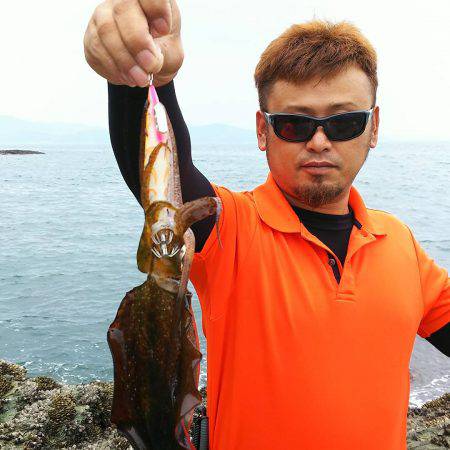 アオリイカ228gゲット