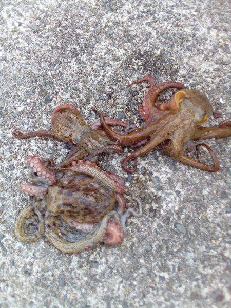 天気は最高なんだがなぁ～( ￣ー￣)