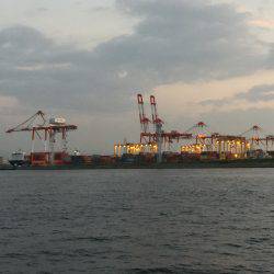 太刀魚リベンジ