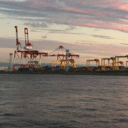 価値ある1匹かな~