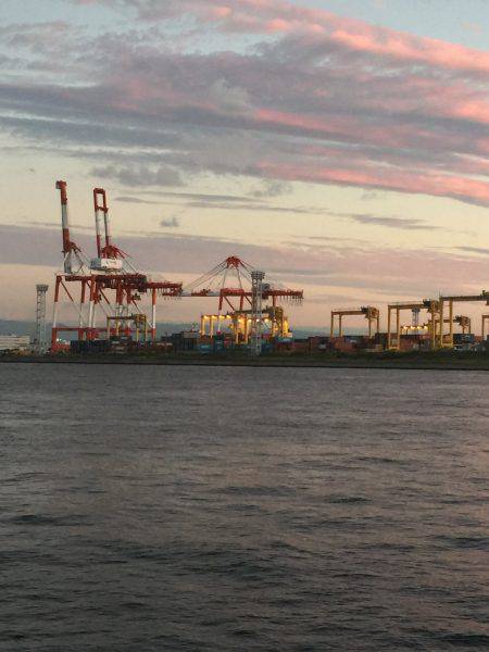 価値ある1匹かな~