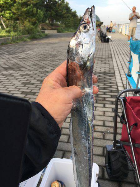 シーサイドコスモ