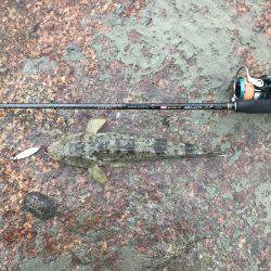 スーパーライトシャアジギング！！