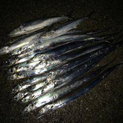 ゆうまづめ釣行