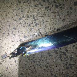 ライトウキ笑っ