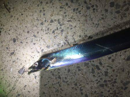 ライトウキ笑っ