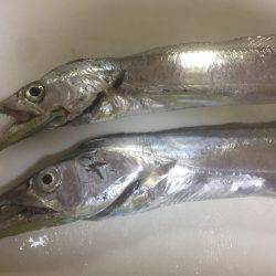 ちょっとだけワインド