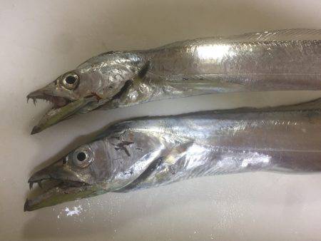 ちょっとだけワインド