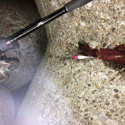 台風は嫌いです。