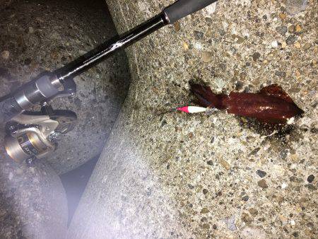 台風は嫌いです。