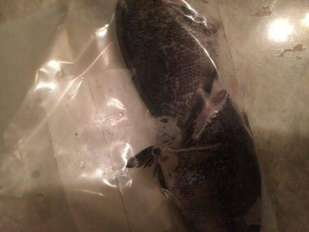 ひさびさサビキ