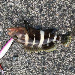 夕日に照らされながら