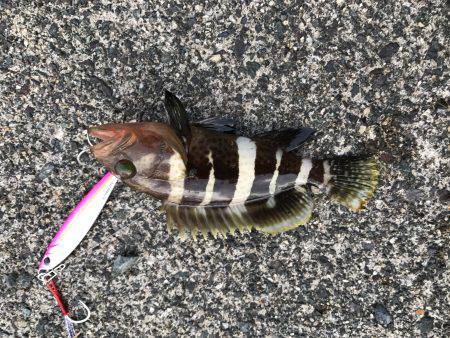 夕日に照らされながら