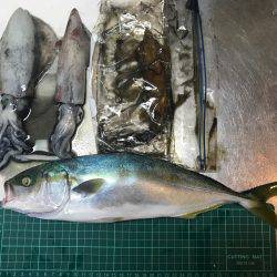 大蔵海岸で夜エギング、ショアジギング