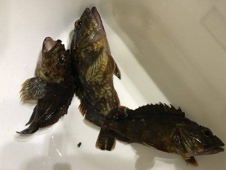 台風前にちょろっと