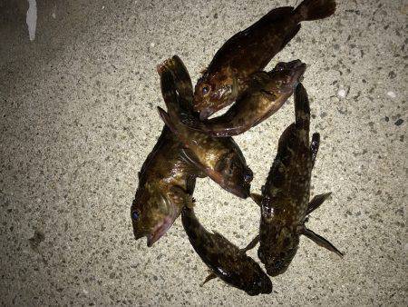 久々に2時間ほど