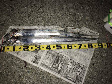 ワインドで良型ゲット