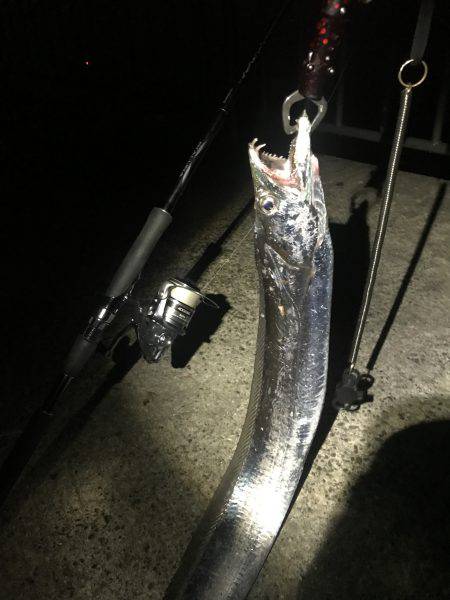 96センチとかもいてます