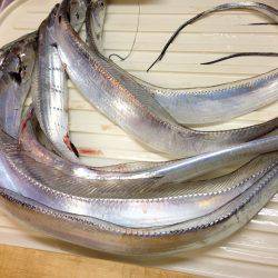 明日平日なのに人だらけ