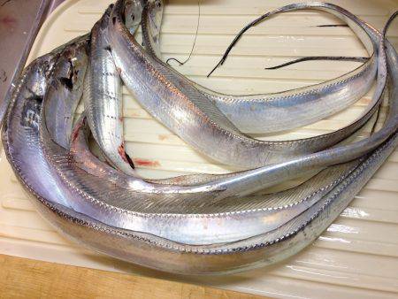 明日平日なのに人だらけ