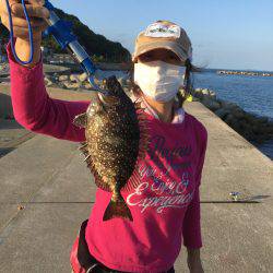 夕マズメ。久しぶりの唐泊漁港で釣り。