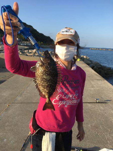 夕マズメ。久しぶりの唐泊漁港で釣り。