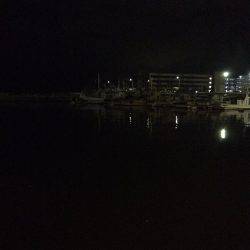 ぶらりアジング