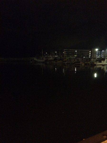 ぶらりアジング