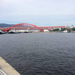 北公園にてガシリング