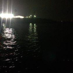 仕事帰りにガシリング