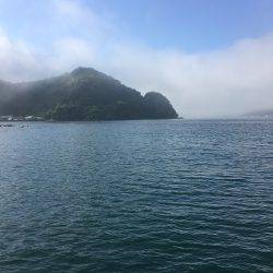 ツバスからのエソ祭り