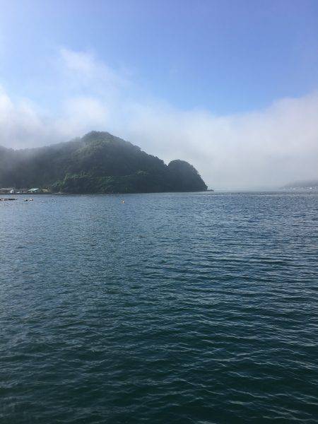 ツバスからのエソ祭り