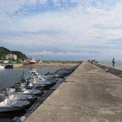 冨具崎港→師崎港