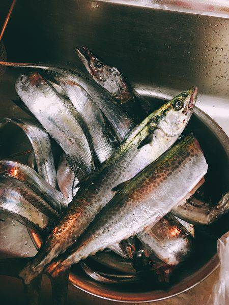 ムコイチ大渋滞