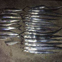 行列のできる武庫川一文字