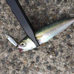 ライトゲーム遊び