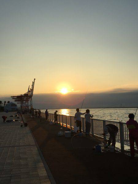 今シーズン初太刀魚