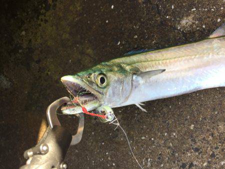台風がの様子見