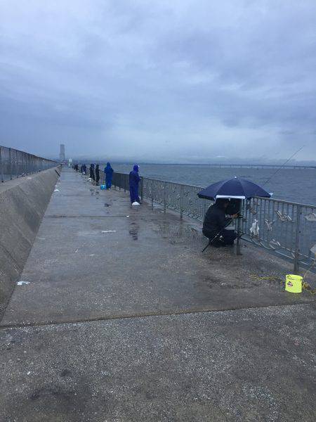 タイフーンタチウオ