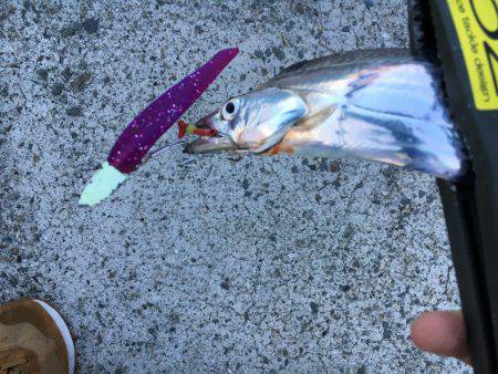 フォールで連発！