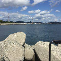 白浜 フカセ チヌ