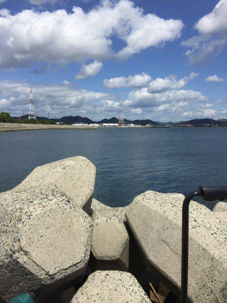 白浜 フカセ チヌ