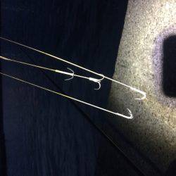 久しぶりの釣行