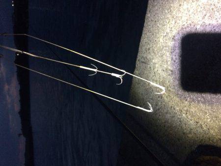 久しぶりの釣行