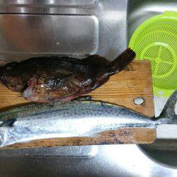 気軽にショアスロー