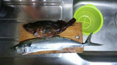 気軽にショアスロー