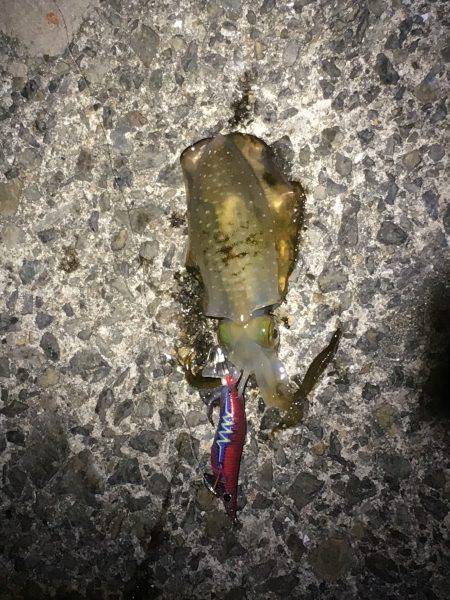 なかなか潮動かず